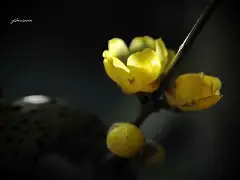 万博体育官网-暗香浮动小说笔趣阁